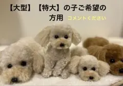アンちゃん様 トイプードル編みぐるみ 【特大】伏せポーズ 淡い