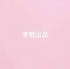 専用出品