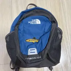 THE NORTH FACE ホームスライス