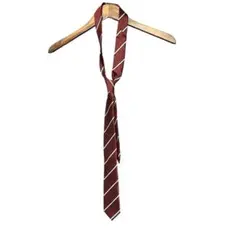 Item thumbnail for item c2a506ed-f5fd-49aa-a643-f4c8f7a0f449