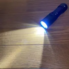 Item thumbnail for item aa5aabde-d8c7-48b7-aae2-df021beb22ba