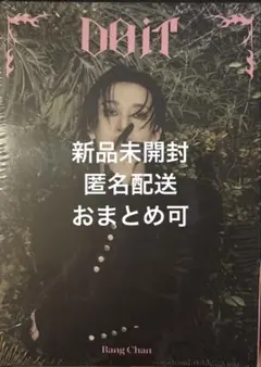 straykids do it アコーディオン盤 accordionバンチャン