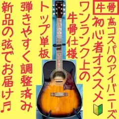 牛骨☆エレアコ】Ibanez☆アイバニーズ【弾き易く調整☆新品の弦
