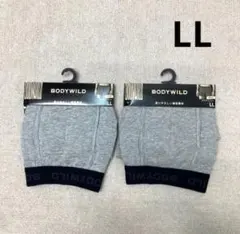 新品　GUNZE BODYWILD ボクサーパンツ　セット売り　グレー　LL