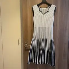 ANAYI ノースリーブ ニット ワンピース ストライプ フレア グラデーション