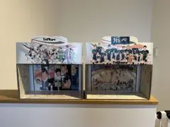 ハイキュー!! セカンドシーズン A4クリアファイル CD 「発熱」 購入