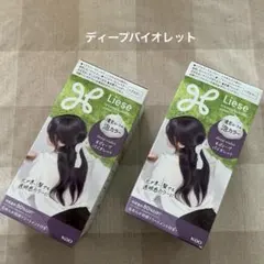 Liese 泡カラー ディープバイオレット 黒髪用ヘアカラー 2箱セットのサムネイル