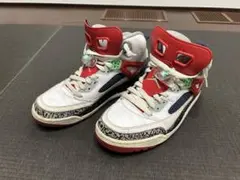 Item thumbnail for item 2c4ef9e6-898a-4b92-a1fa-b71ace887c6b