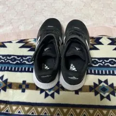 Item thumbnail for item 72ef924a-349d-4744-b2a1-288db9659ede