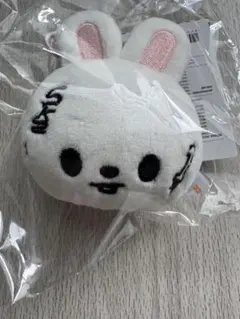 straykids リノ スキズ KARMA SKZOO ネームタグ