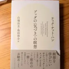 ブッタの気づきの瞑想