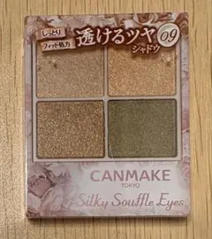 CANMAKEシルキースフレアイズ 09 アーバンカーキ