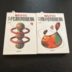 2026年最新】昇龍堂の人気アイテム - メルカリ
