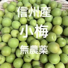 小梅　箱込み850g以上のサムネイル
