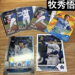 Item thumbnail for item e2361f64-0448-497d-9c7e-cbac7a657969