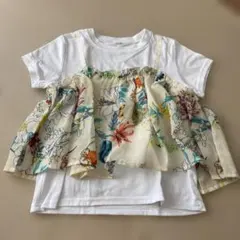 Item thumbnail for item 8c8b54d0-c71f-4779-8e08-b09caace33b8