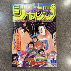 週刊少年ジャンプ 1994年5月2日号 No20 美品 ドラゴンボール BOY
