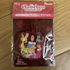 Disney Christmas Ornament 2025