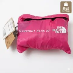 新品タグ　THE NORTH FACE フライウェイトパック22 軽量　リュック