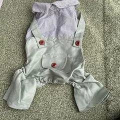 Item thumbnail for item 947744e2-fd41-4c48-b496-bcda56b68f8b