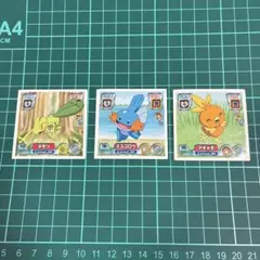 ポケモンシール烈伝　キモリ　ミズゴロウ　アチャモ　3枚セット　Pokémon