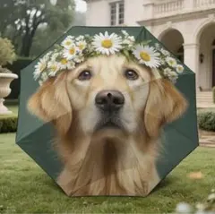 Item thumbnail for item 5ca2436c-6507-4245-8770-a438bea204b5