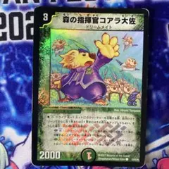 森の指揮官コアラ大佐 ホイル 252