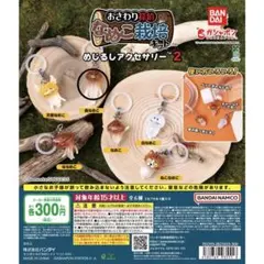 おさわり探偵なめこ栽培キットめじるしアクセサリー 2点セット - メルカリ