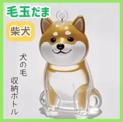 Item thumbnail for item 775b01d3-54e6-4bf8-9624-f71af0498ff2