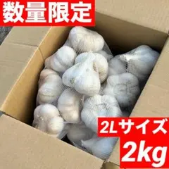 ろんりーたなか様専用】北海道産じゃがいも（さやか） 2Lサイズ40kg