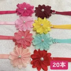 ⑤犬トリミングチョーカー・リボン・ネクタイ・スタイ 春・桜 - メルカリ