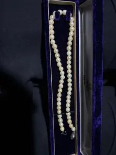 Item thumbnail for item cbfa9e17-bbc1-4c07-bdcb-bd8c0e0dea57