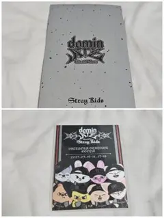 StrayKids アップグレード