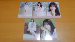 菅原咲月、遠藤さくら　2025.Halloween　個別生写真