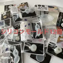 レジン用　シリコンモールドまとめ売り　よりどり12点
