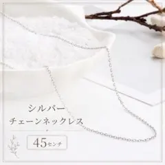 シルバー 細めチェーンネックレス 45cm 2mm あずきチェーン 重ね付けのサムネイル