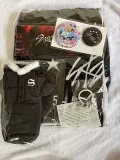 Stray Kids スキズ 5-STAR ドームツアー アプグレ