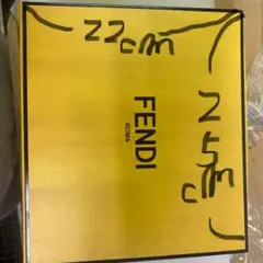 FENDI フラグメントケース 22cm x 25cm