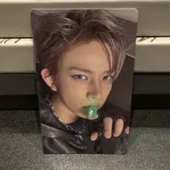 THESIN VANISHヒスントレカ