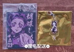 鬼滅の刃 胡蝶しのぶ 2点セット