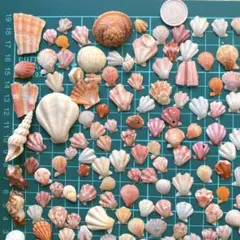 Item thumbnail for item 77b64709-f058-41c2-9896-3f41876f5b2a