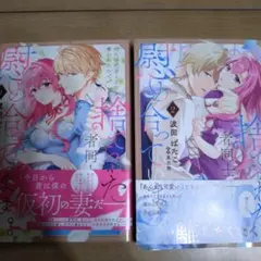 姉に婚約者と王位を奪われたので、捨てられた者同士慰め合っています。1、２巻セット