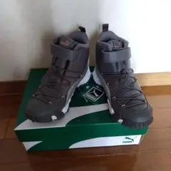 Item thumbnail for item 16d29349-faec-43dd-8231-4cadb9860f26