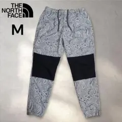 希少 ザ・ノース・フェイス パープルレーベル ペイズリー マウンテンパンツ 30