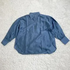 VIS ビス 長袖ブラウス しわ加工 光沢 袖パールボタン ブルー系 F