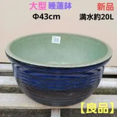 新品 特大51 陶器睡蓮鉢 メダカ鉢 難有 エメラルドグリーン 緑黒 高級