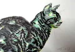 アメリカンショートヘア 絵画 原画 アート - メルカリ
