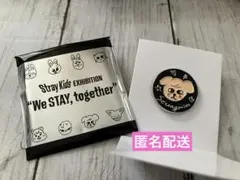 Stray Kids スキズ EXHIBITION ピンバッジ　パピーム