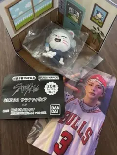 StrayKids スキズ SKZOO サウナ フィギュア ガチャ　※おまけ付き