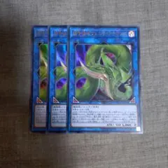 遊戯王 捕食植物ヴェルテアナコンダ